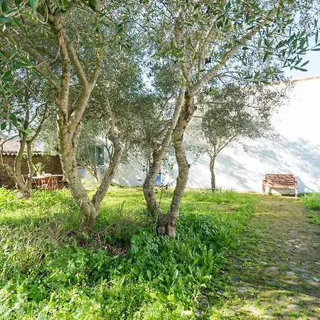 Casa De Olivos, Chimenea Con Horno 2 Hab 4 Pers Mas 1 Max Puerto de la Laja