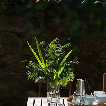 Kır Evi Casa De Olivos, Chimenea Con Horno 2 Hab 4 Pers Mas 1 Max *