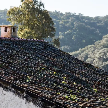 Casa De Olivos, Chimenea Con Horno 2 Hab 4 Pers Mas 1 Max Puerto de la Laja